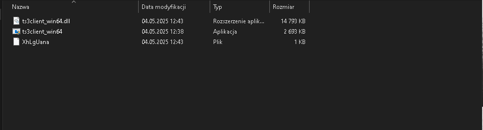 Skript.gg loader files on disk