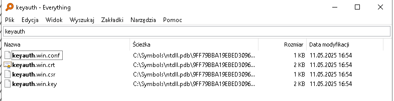 Everything search locating the Star.xyz files